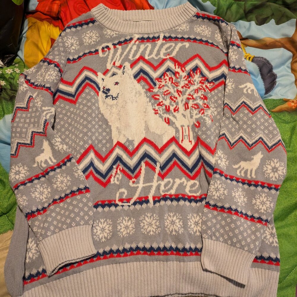 Winter is here House Stark sweater